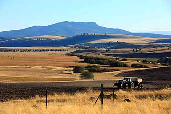 Blue Mountain Wallowa country